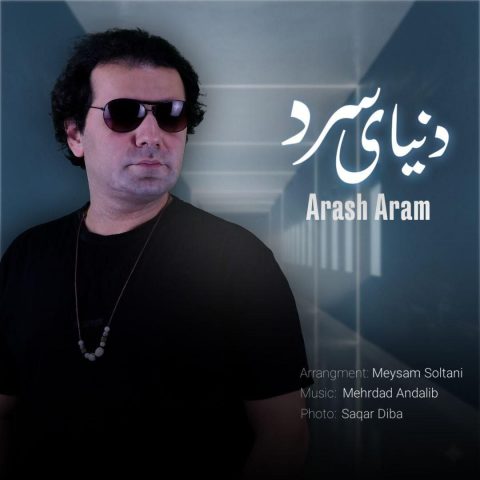 دانلود آهنگ آرش آرام دنیای سرد